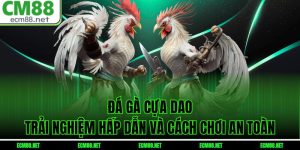 Đá Gà Cựa Dao – Trải Nghiệm Hấp Dẫn Và Cách Chơi An Toàn