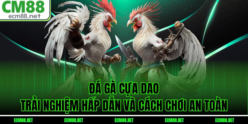 Đá Gà Cựa Dao – Trải Nghiệm Hấp Dẫn Và Cách Chơi An Toàn