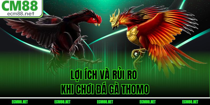 Lợi Ích Và Rủi Ro Khi Chơi Đá Gà Thomo