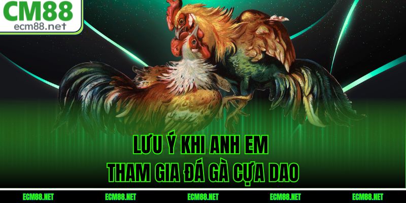 Lưu Ý Khi Anh Em Tham Gia Đá Gà Cựa Dao